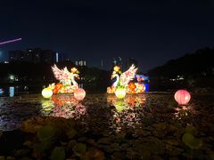 -映月湖公园