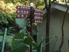 -清溪大王山森林公园