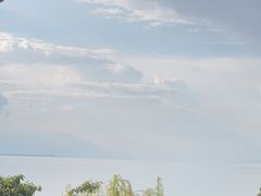 -野菌皇海景野生菌火锅(滨海大道店)