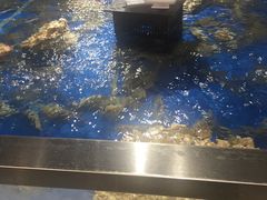 南美白虾-盒马鲜生(和谐广场店)