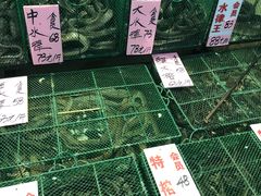-荔城生鲜盛宴(番禺旗舰店)
