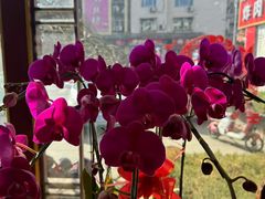 -懋隆金阁·博山菜