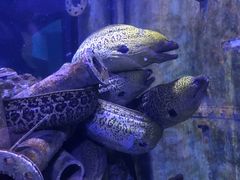 -成都浩海立方海洋公园