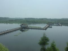 -溱湖国家湿地公园