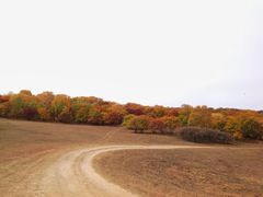 -塞罕坝国家级自然保护区