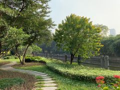 -晓港公园