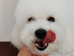 -宠物家(角门东店)