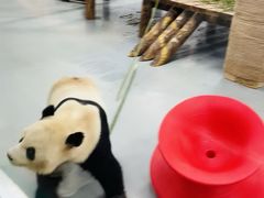 -无锡动物园·太湖欢乐园