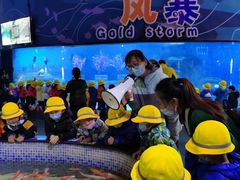 -烟台海昌鲸鲨海洋公园