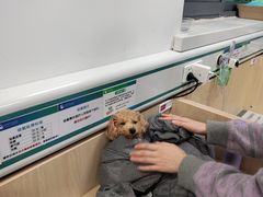 -中国农业大学动物医院