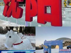 -沈阳奥体冰雪嘉年华