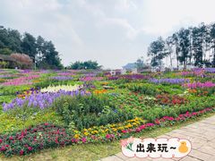 -保利石象湖景区