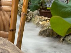 -伴山茶苑·一盏冰茶·半日山居