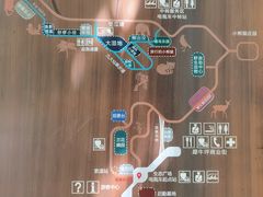 -普洱太阳河森林公园