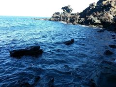 android_upload_pic-龙头岩(Dragon Head Rock)
