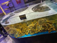 -蟹之国·精品蟹料理(极地店)