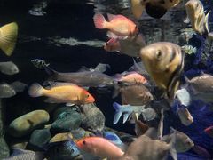 -成都浩海立方海洋公园