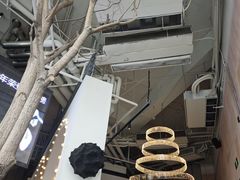 -一棠龙虾•王牌虾球(恒隆广场店)