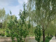 -元大都城垣遗址公园