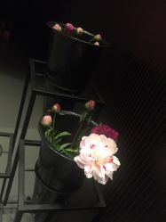 -奈瑞儿美养院·身体调养·美颜