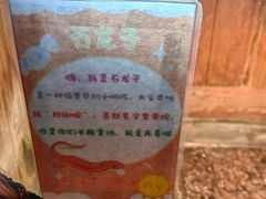 -上海大自然野生昆虫馆