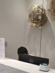 -YESIDO椰岛造型