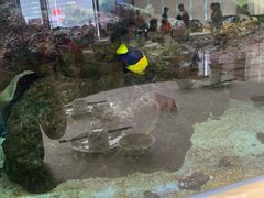 -渔民新村(番禺总店)