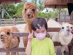 -珠海海泉湾神秘岛亲子乐园
