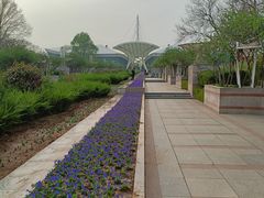 -石家庄市植物园
