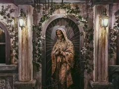 -屋有岛沉浸游戏旗舰店(中山公园店)