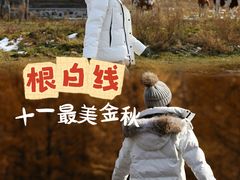 -莫尔道嘎国家森林公园