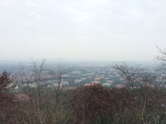 -上海佘山国家森林公园西佘山园