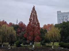 -孝子祠公园