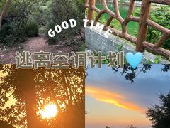 -惠山国家森林公园