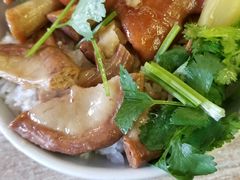 猪脚饭-猪脚洪隆江猪脚饭