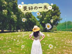 -河南省黄河迎宾馆
