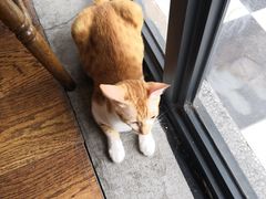 -251#coffee roasters(沿河东路店)