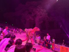 -广州长隆国际大马戏