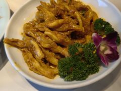 -新侨小馆(东直门北小街店)