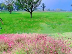 -汉长安城未央宫国家考古遗址公园