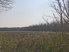 -广富林郊野公园