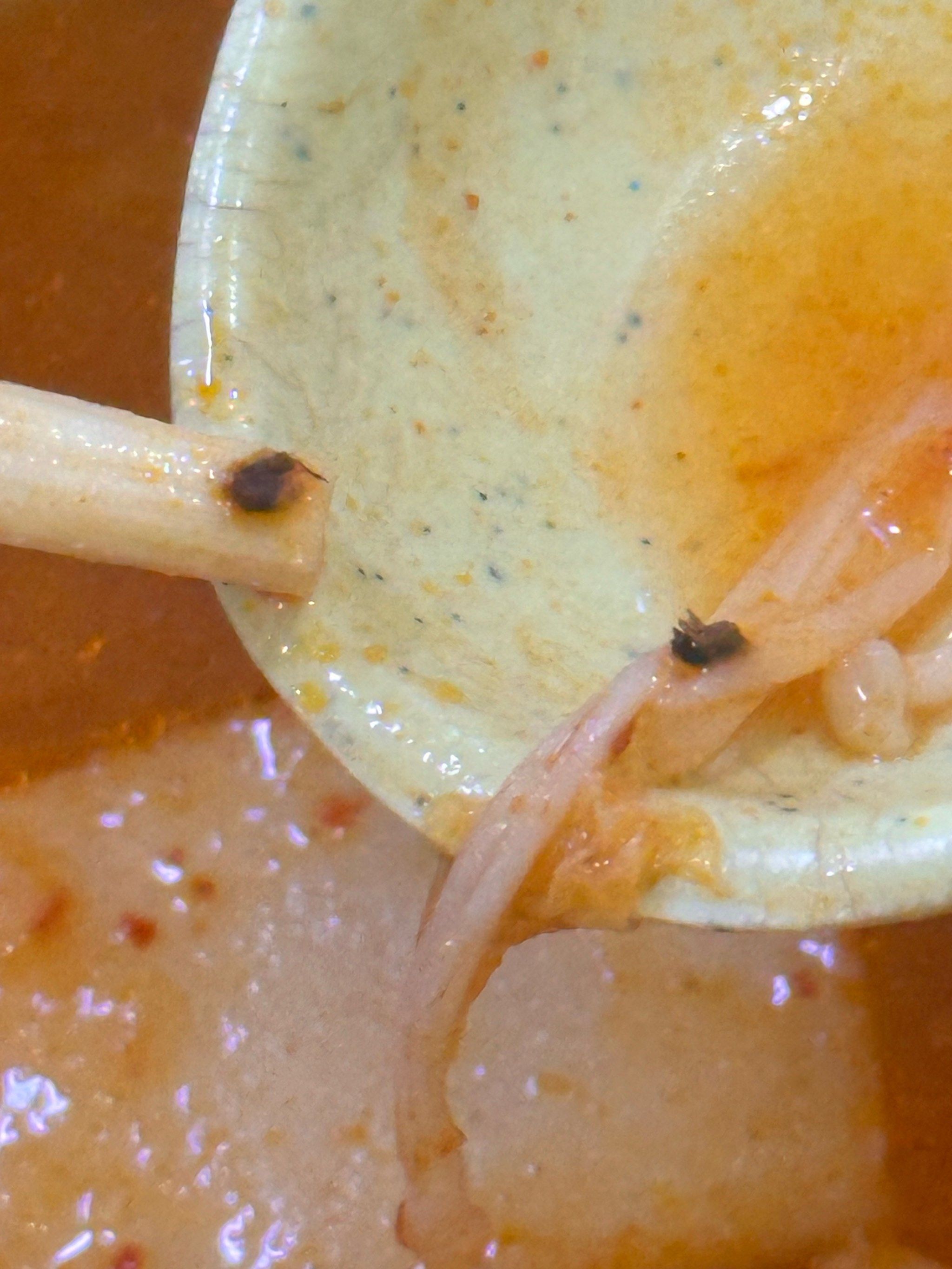 太恶心了 吃到后面肥牛部队锅里面吃出了一