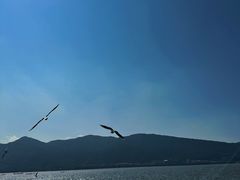 -海埂大坝