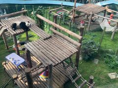 -大连森林动物园