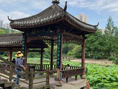 -龙头寺公园