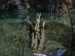 景点-互助北山国家地质公园漂流