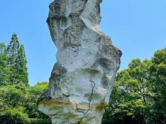 -鲁镇