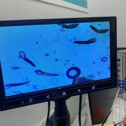 -skin79皮肤管理中心