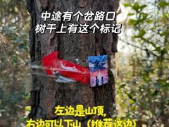 -东钱湖旅游度假区