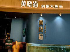 -黄晓猫剁椒大鱼头(海岸城店)